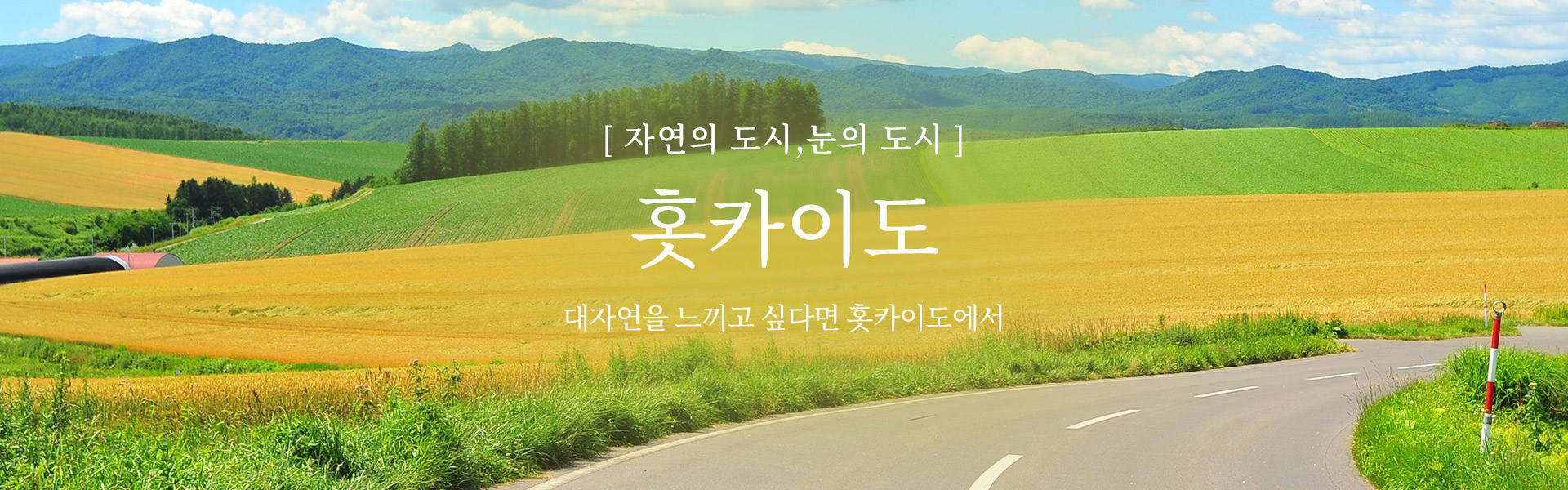 �Ϻ��� ���ڿ� Ȫī�̵�