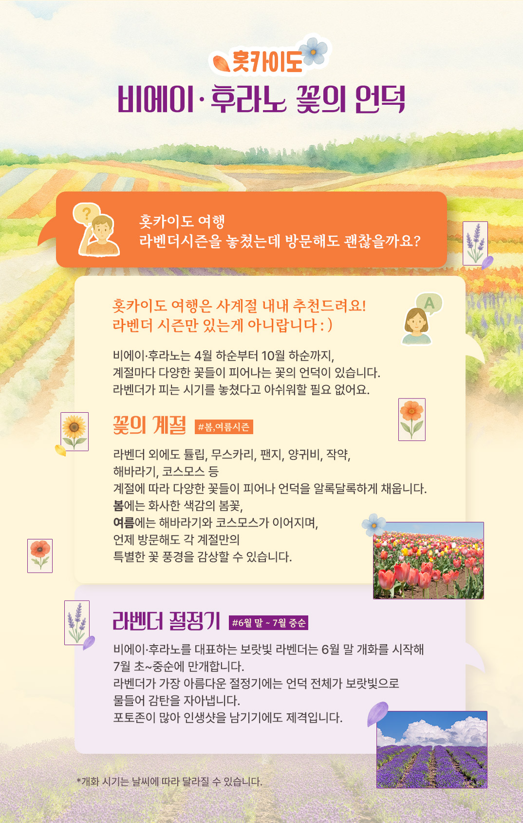 ��õ���ڿ��Ǹ���_06.jpg